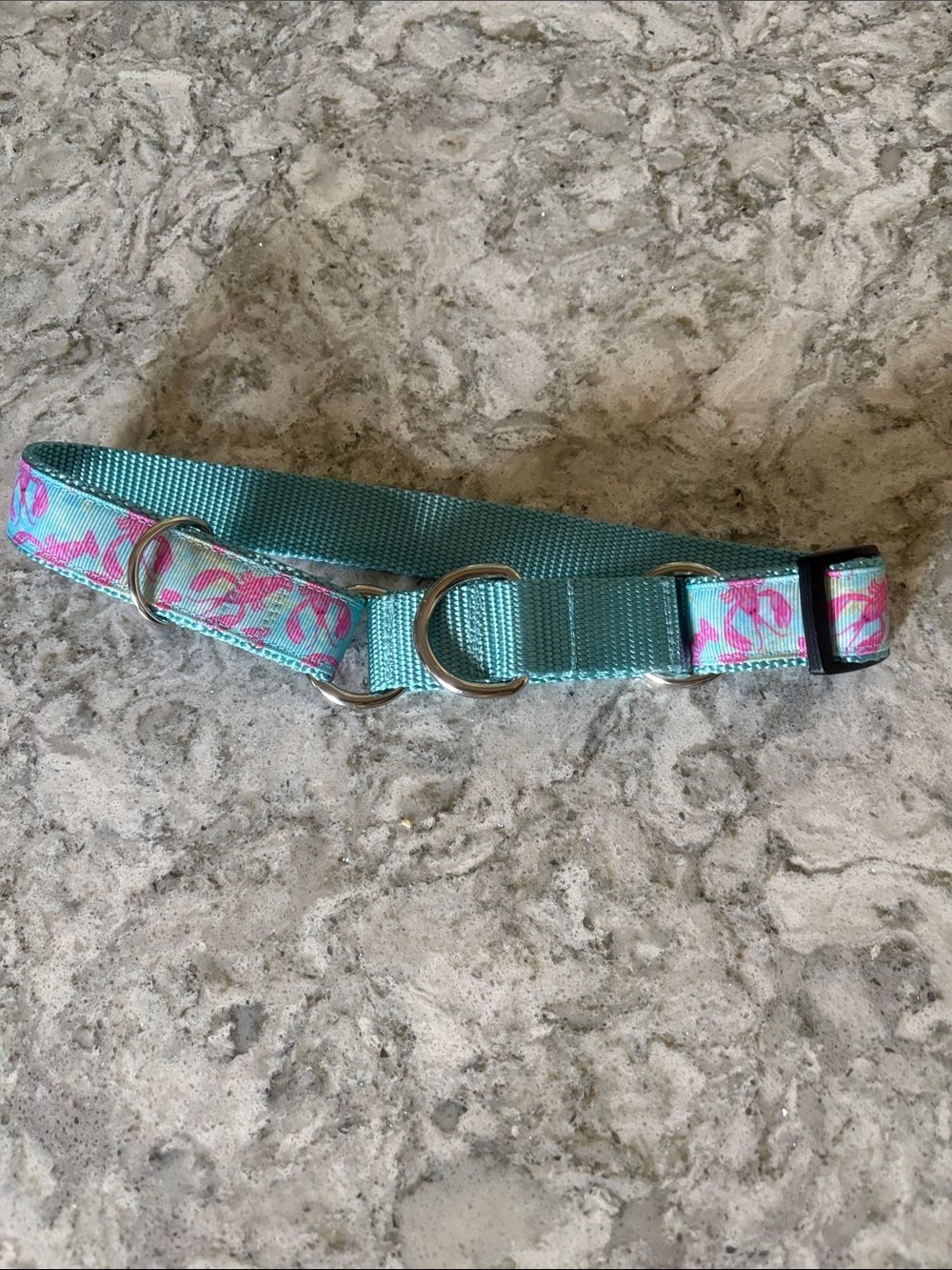 Teal and Pink Floral Martingale-Style Dog Collar